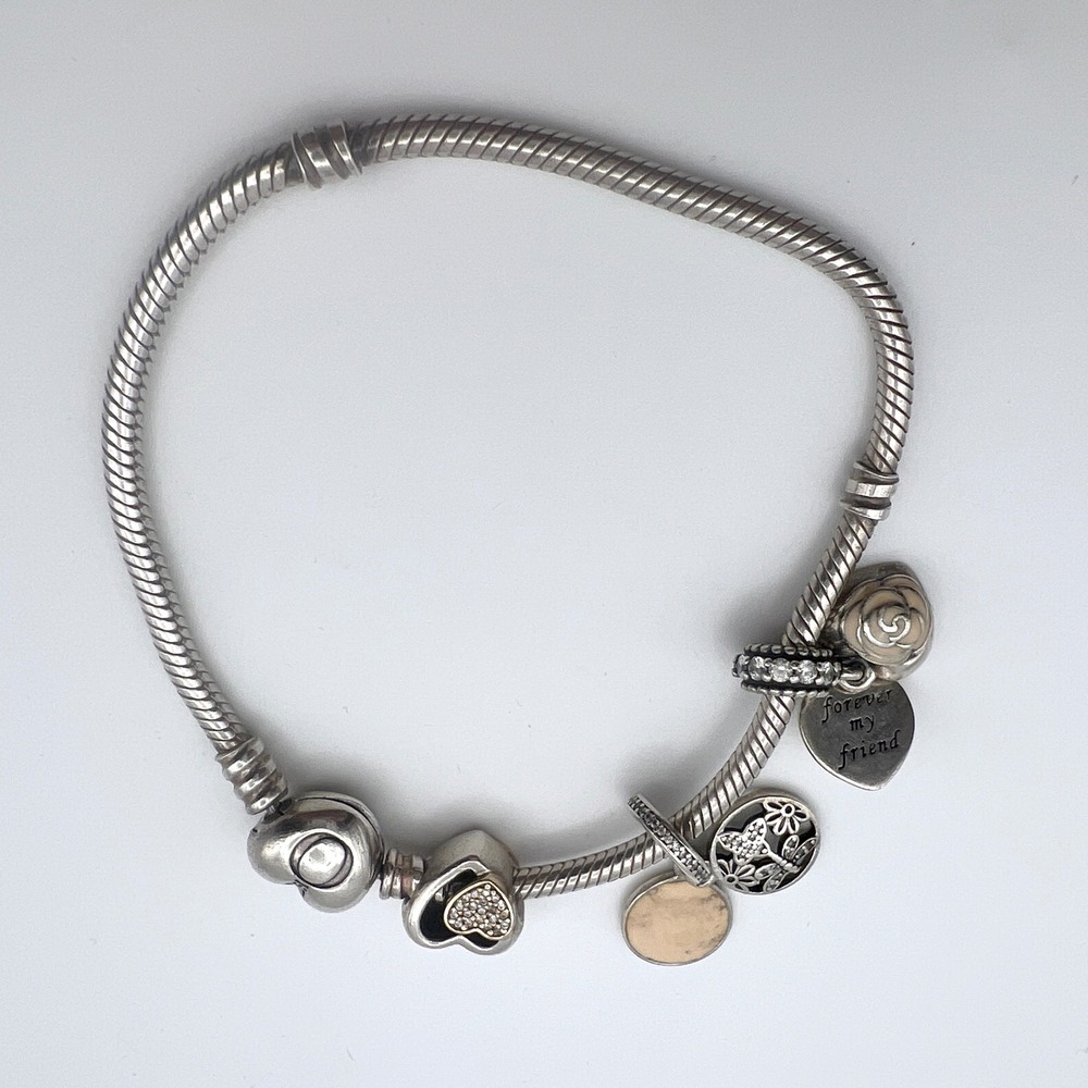 Pandora Sterling Silver Charm Bracelet Mother Friend Heart Dragonfly S925 ALE